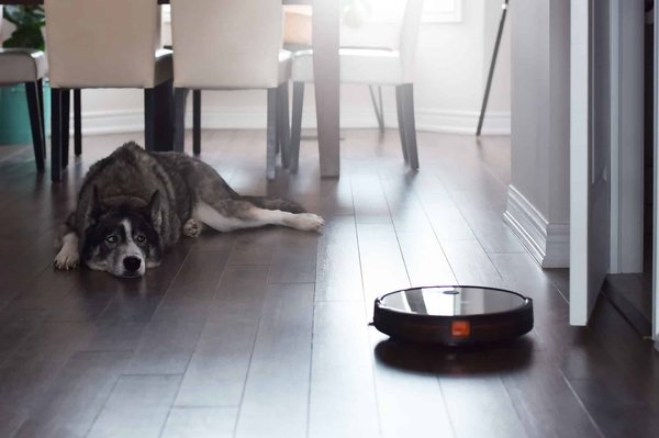 Quels sont les critères de choix d'un aspirateur robot ?