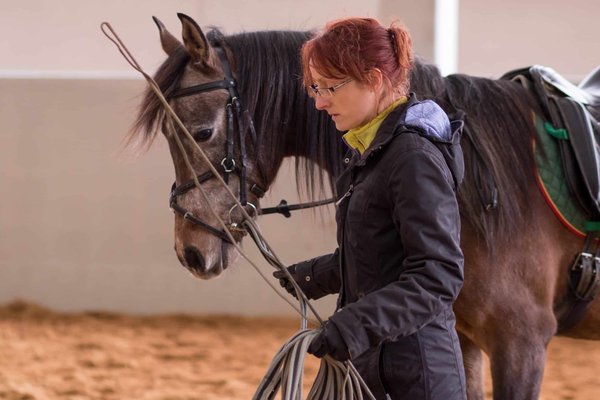 comment favoriser l'égalité des chances dans l'accès à l'éducation dans notre société ?